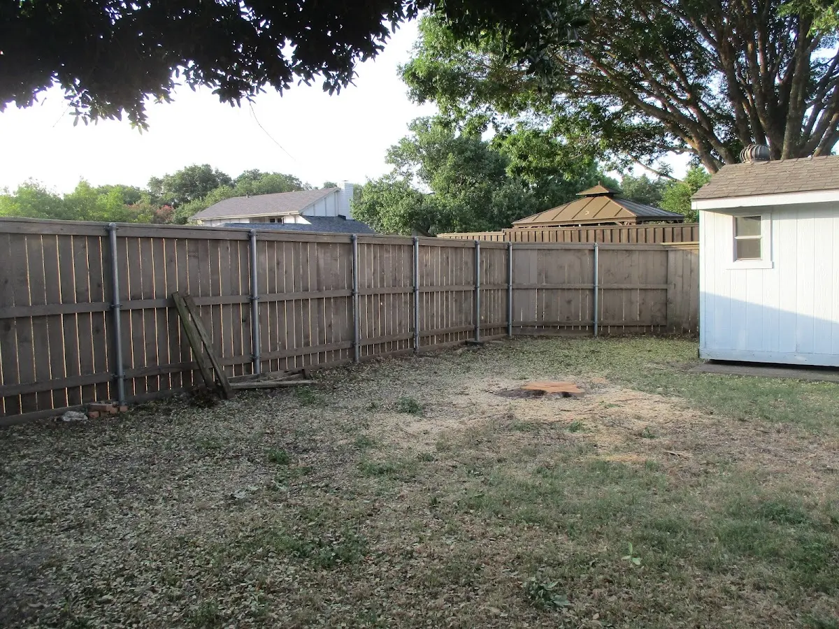 Cleared yard after professional tree removal in Willseyville